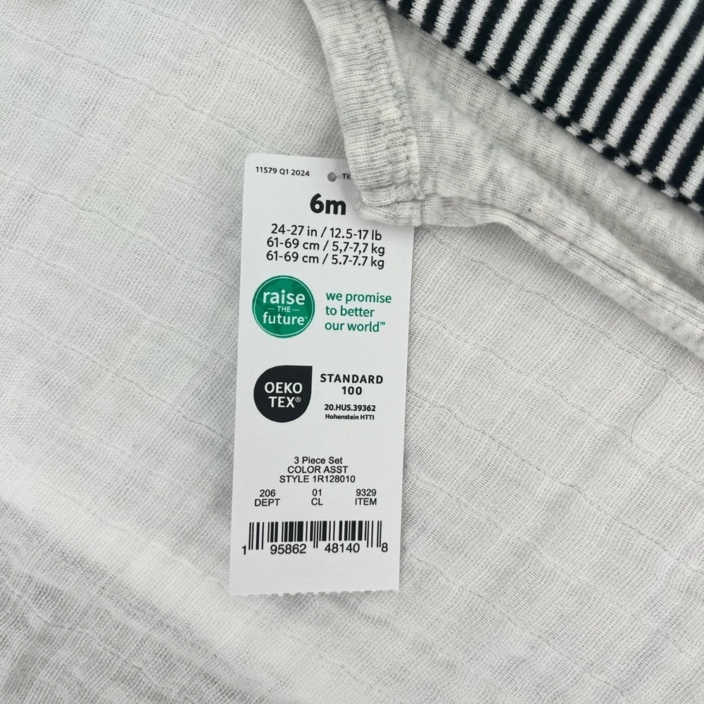 Carter’s Infant Boy Short Set 6 months